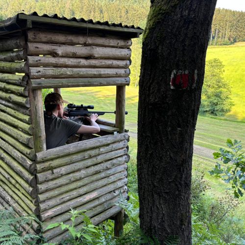 WhatsApp Image 2024-07-05 at 09.36.31